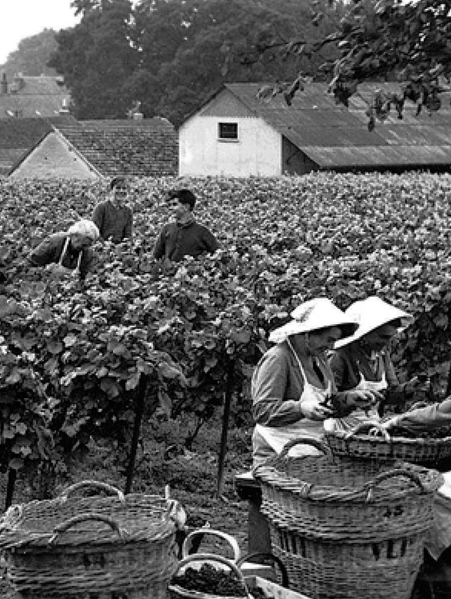 Vinistoires – home – over geschiedenis